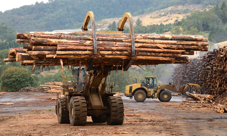 Timber and Logging